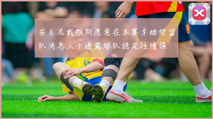 安东尼戴维斯愿意在本赛季继续留队消息人士透露球队稳定性增强